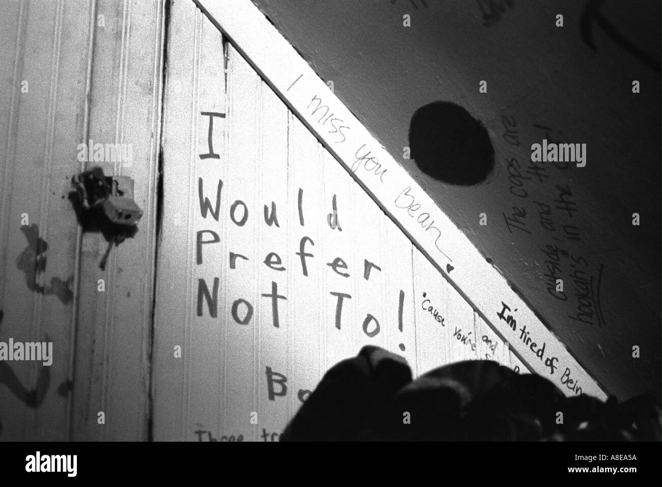 Parete College graffiti: ' preferisco non!' Champaign Illinois USA Foto Stock