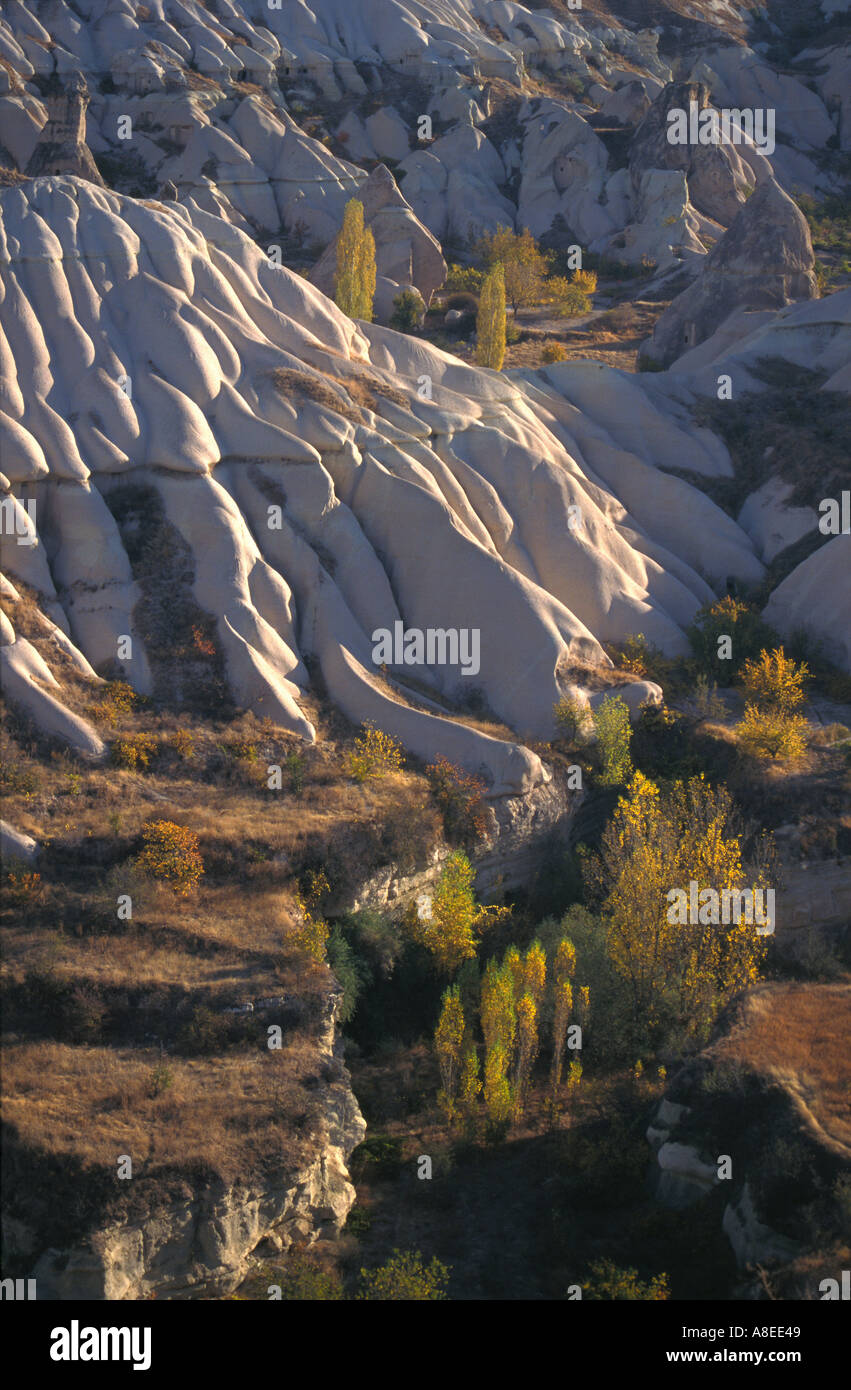 Valley vicino a Goreme Cappadocia Turchia Foto Stock