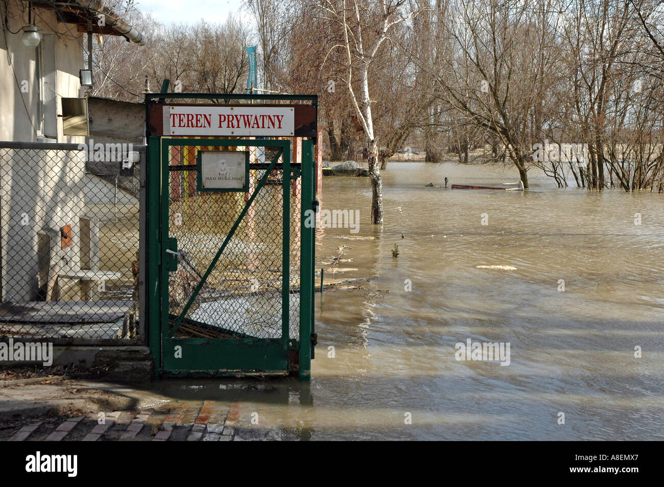 Lo scongelamento di stagione, l'acqua alta sul fiume Vistola in Varsavia durante la primavera Foto Stock