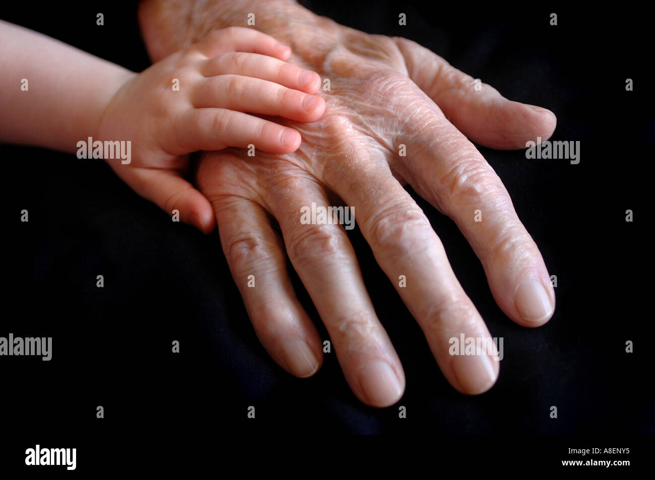 Un giovane bambino la mano appoggiata sulla parte superiore di un anziano mans mano. Foto Stock