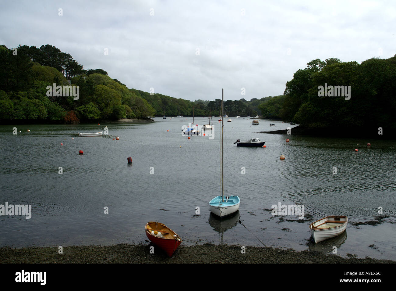 Porth Navas creek off il fiume Helford Cornwall Inghilterra UK Europa Foto Stock