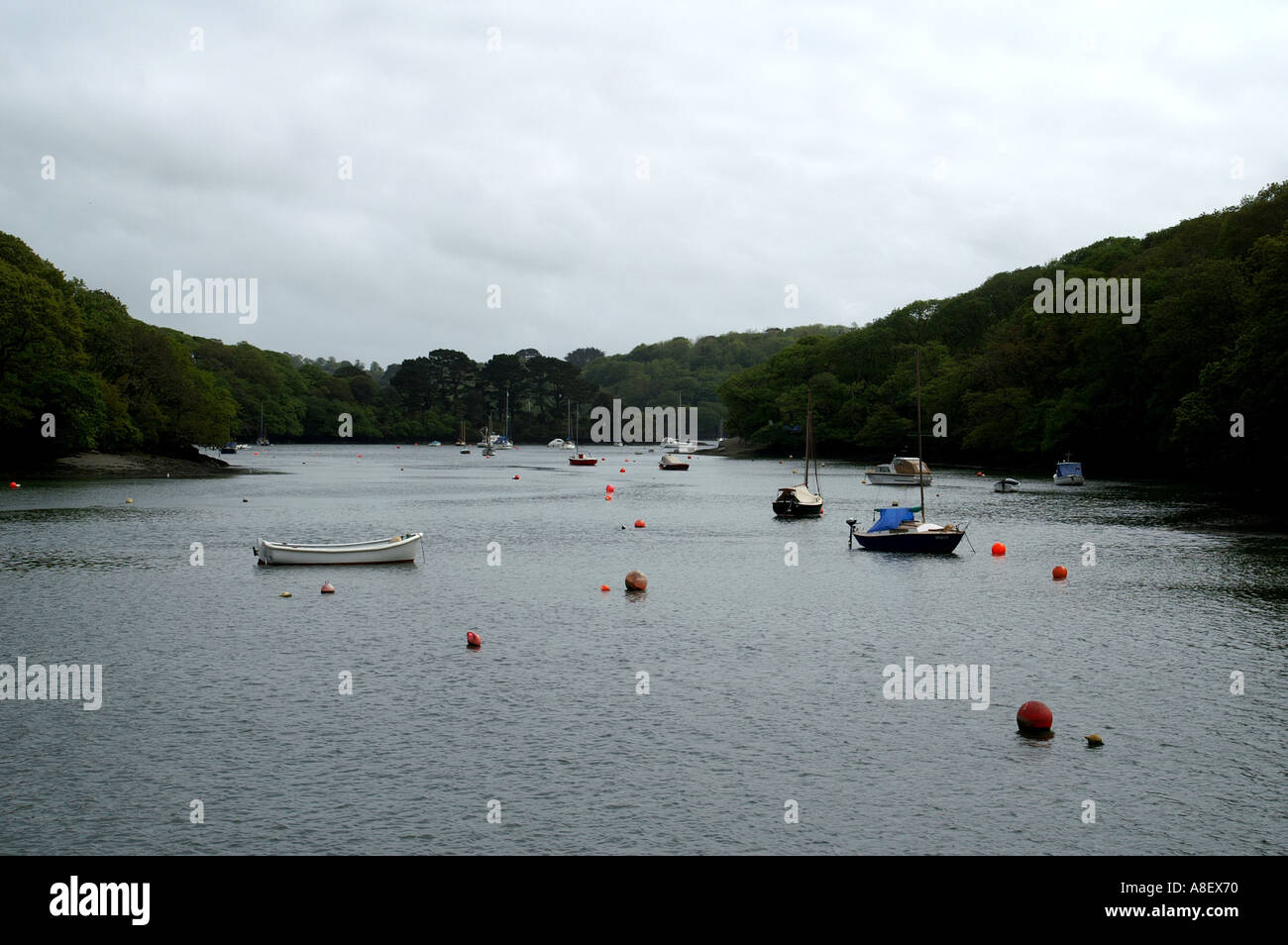 Porth Navas creek off il fiume Helford Cornwall Inghilterra UK Europa Foto Stock