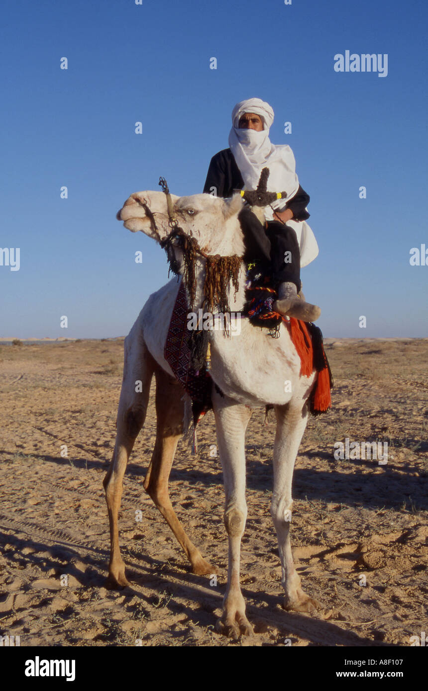 Tunisia Camel rider Foto Stock