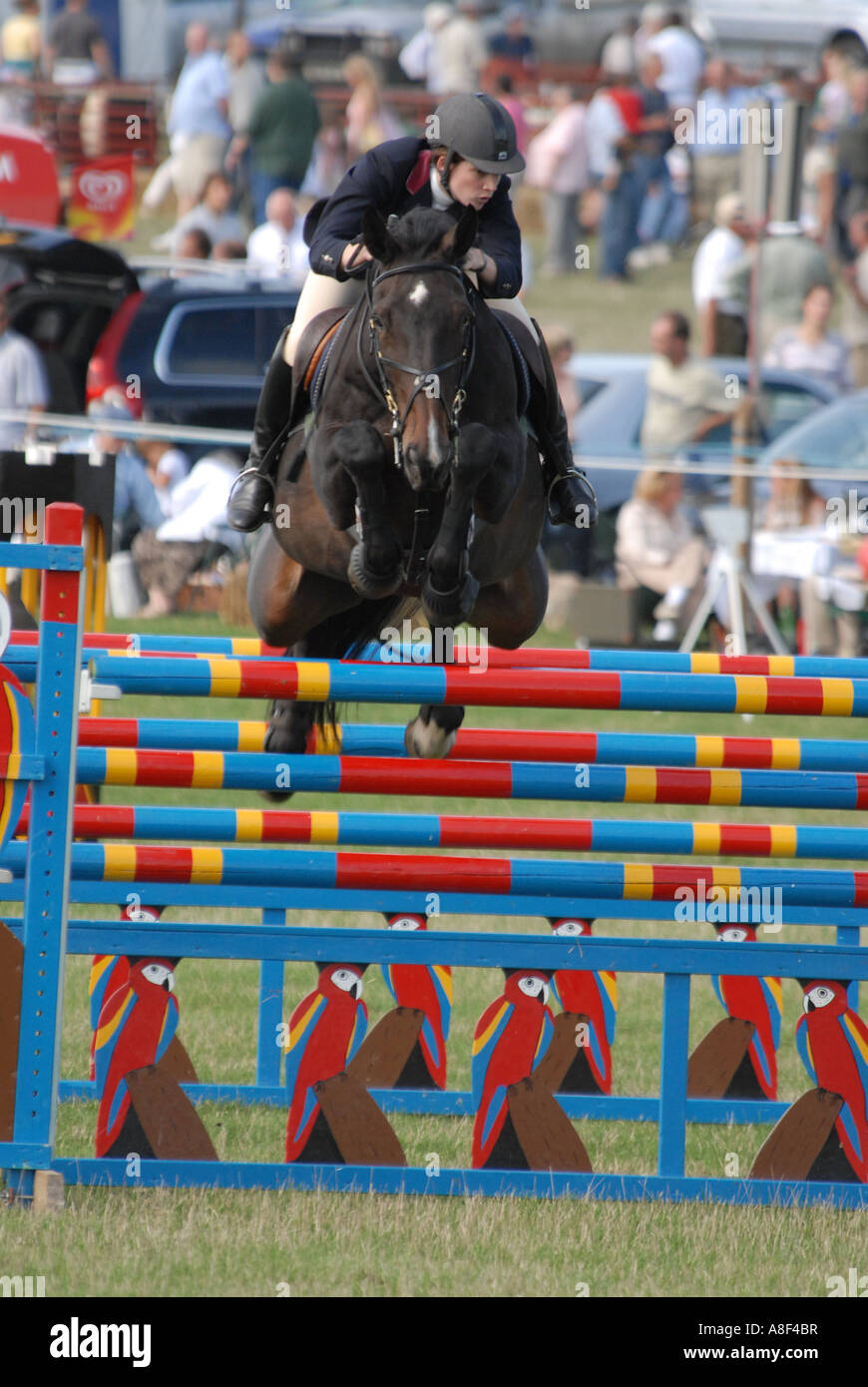 A molti spettacoli in giro per il Regno Unito durante i mesi estivi, show jumping attrae sia principianti e esperti mostrano i ponticelli. Foto Stock