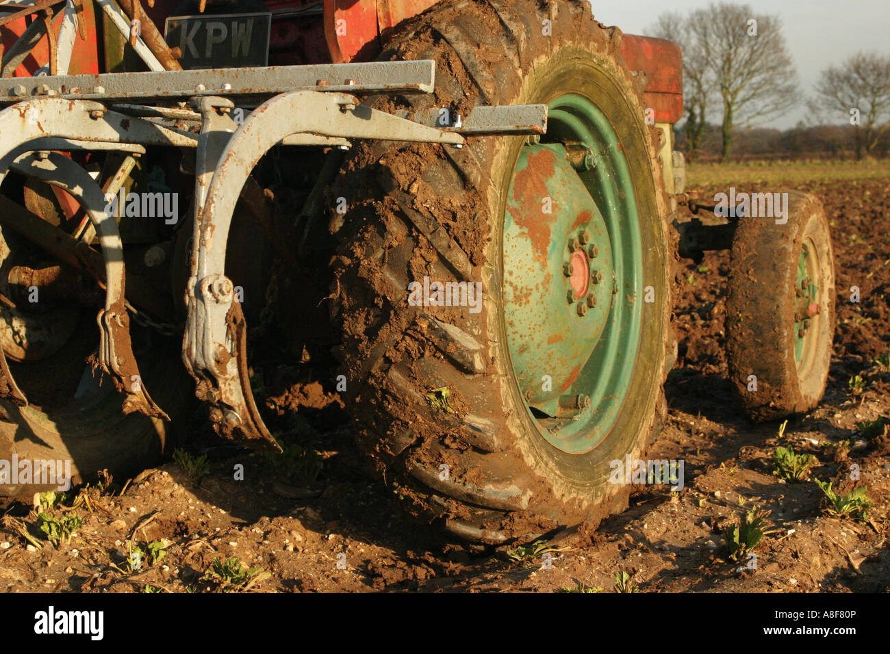 Un "Massey Ferguson 135' Vintage la coltivazione del trattore Foto Stock