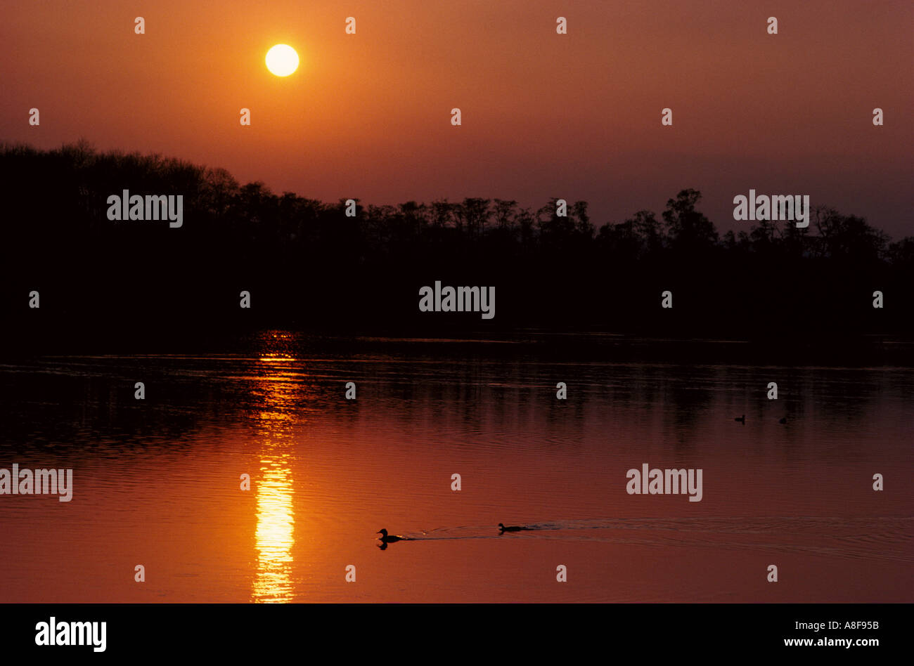 Rosso tramonto sul serbatoio Swithland Loughborough Leicestershire in Inghilterra Foto Stock