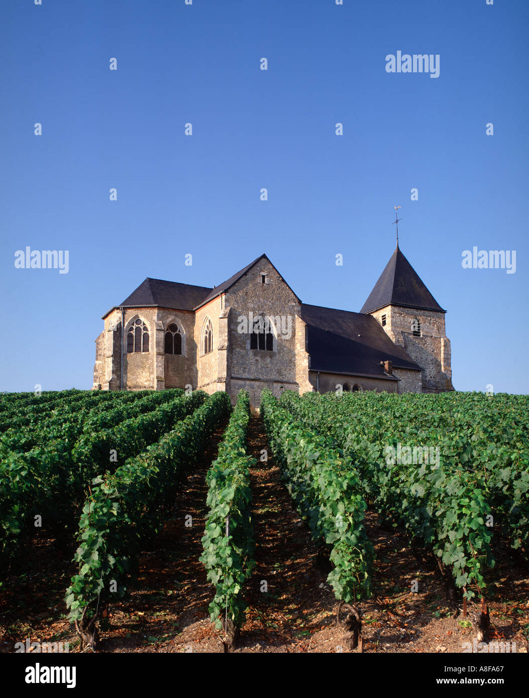 Chavot Chiesa e vigneti itinerario dello Champagne Epernay Marne Francia Foto Stock