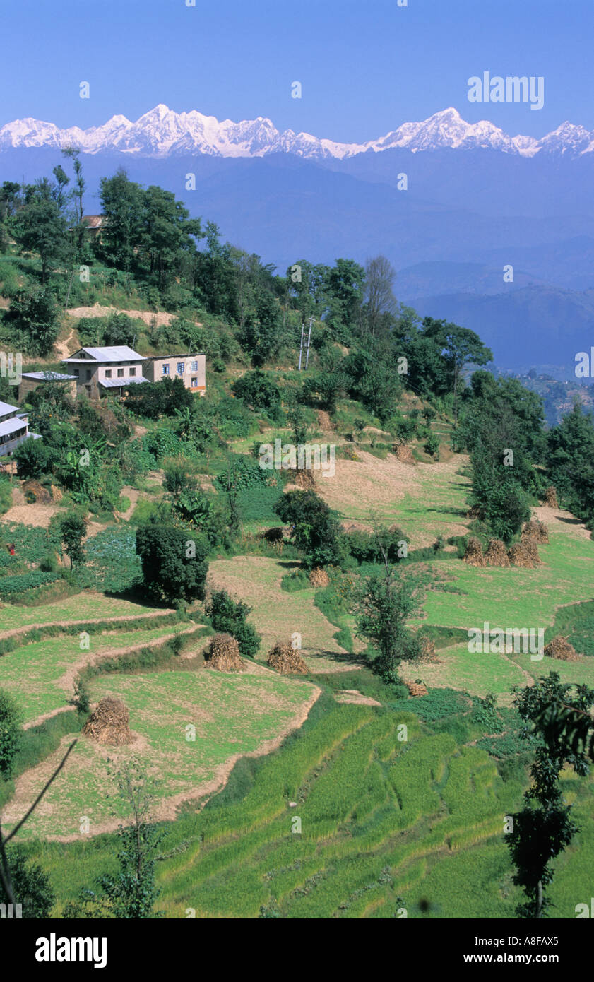 Rolwaling Himal e Dhulikhel borgo agricolo di terracies visto dalla valle di Kathmandu in Nepal Foto Stock