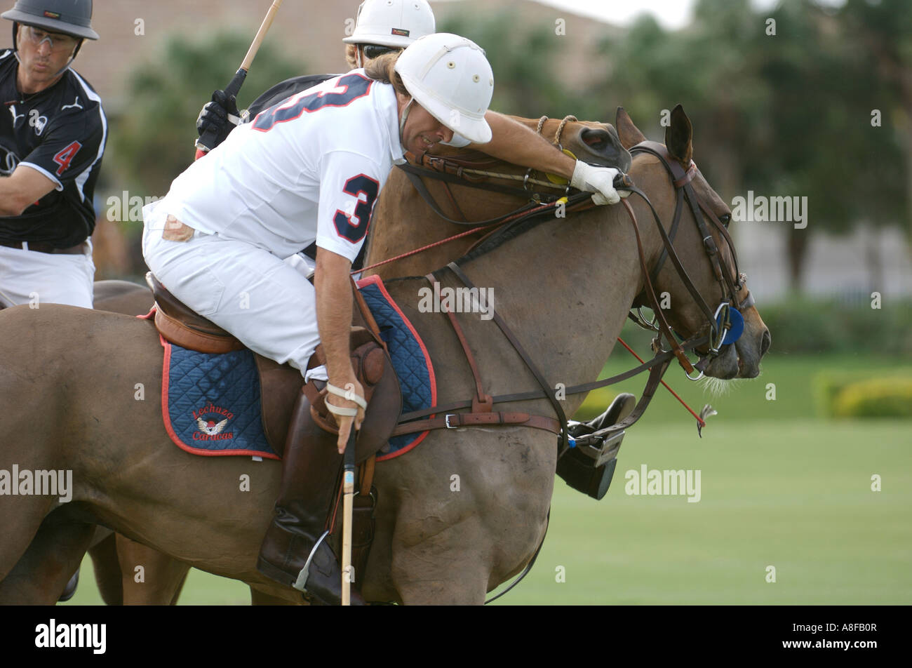 International Polo Club Wellington Florida USA partite Apertura stagione 2007 Gennaio 2007 Foto Stock