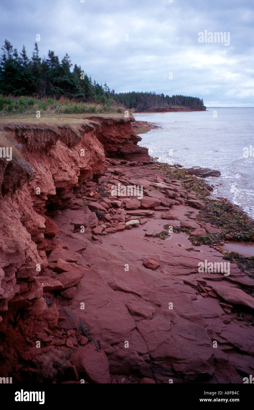 Red Rock costa a basso Tide PEI Prince Edward Island Canada Foto Stock