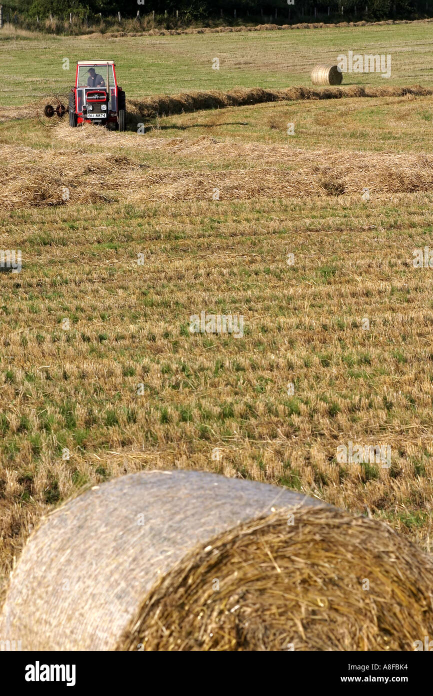 La raccolta del trattore di balle di fieno in campo in Moira, County Down, Irlanda del Nord Foto Stock