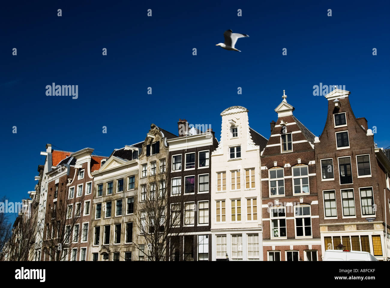 Belle vecchie case lungo il canale nel centrale quartiere Grachtengordel di Amsterdam Olanda Foto Stock