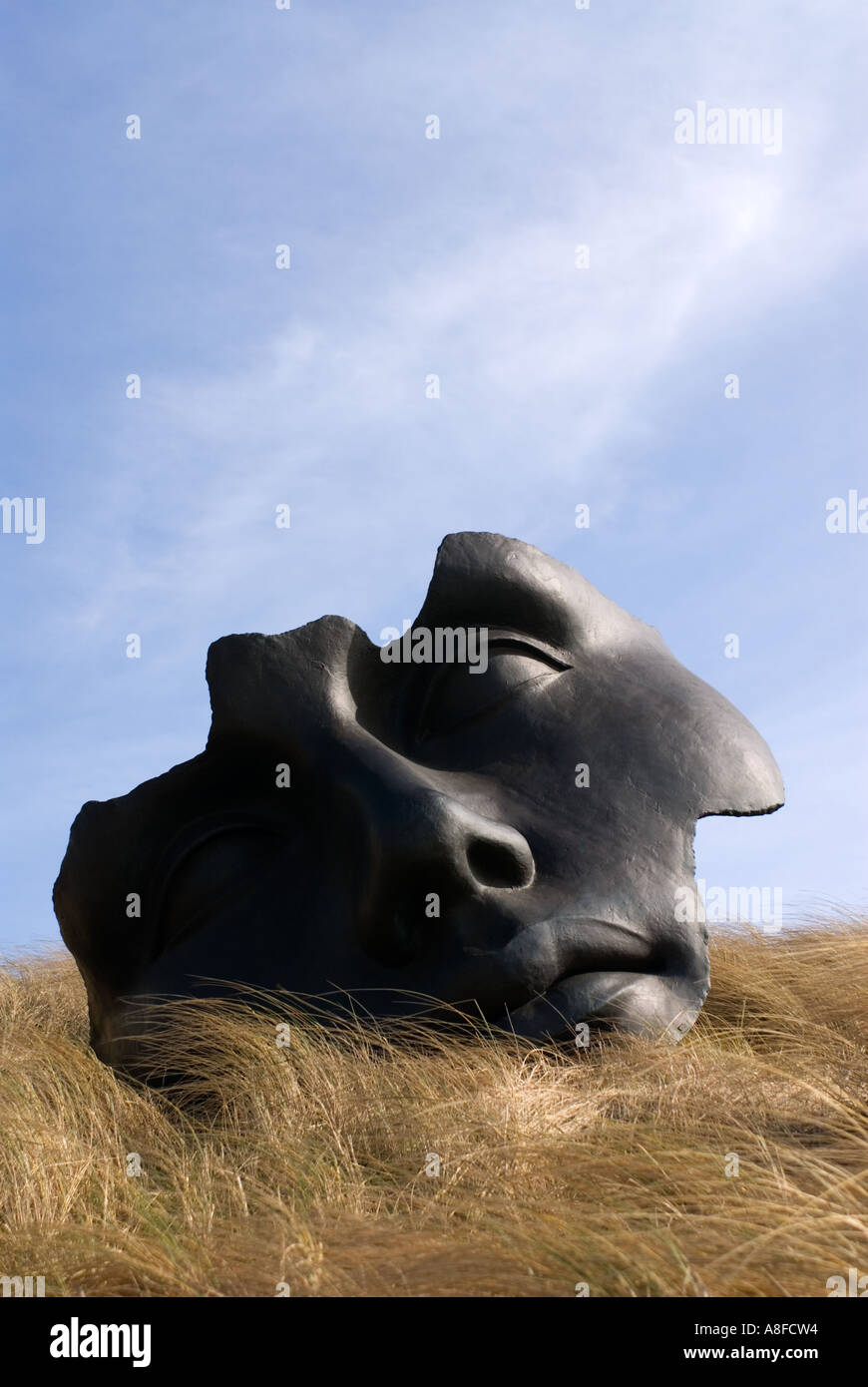 Arte moderna sculture in esposizione al museo-Beelden aan Zee-in al di fuori di La Hague in Olanda Foto Stock
