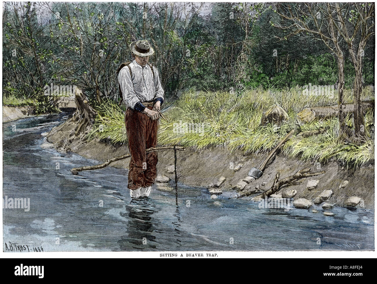 Impostazione del boscaiolo un castoro trap in un flusso di 1800s. Colorate a mano la xilografia di A.B. Illustrazione di brina Foto Stock