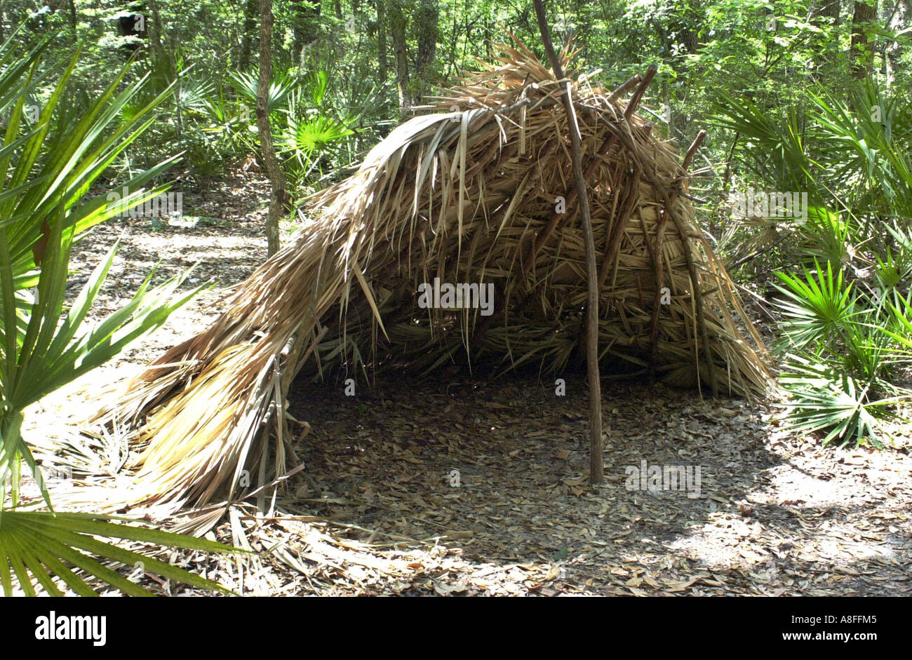 Ricostruito Timucuan nativo rifugio di fronde di palma a Fort Caroline National Historic Site sulla St Johns River Florida. Fotografia digitale Foto Stock