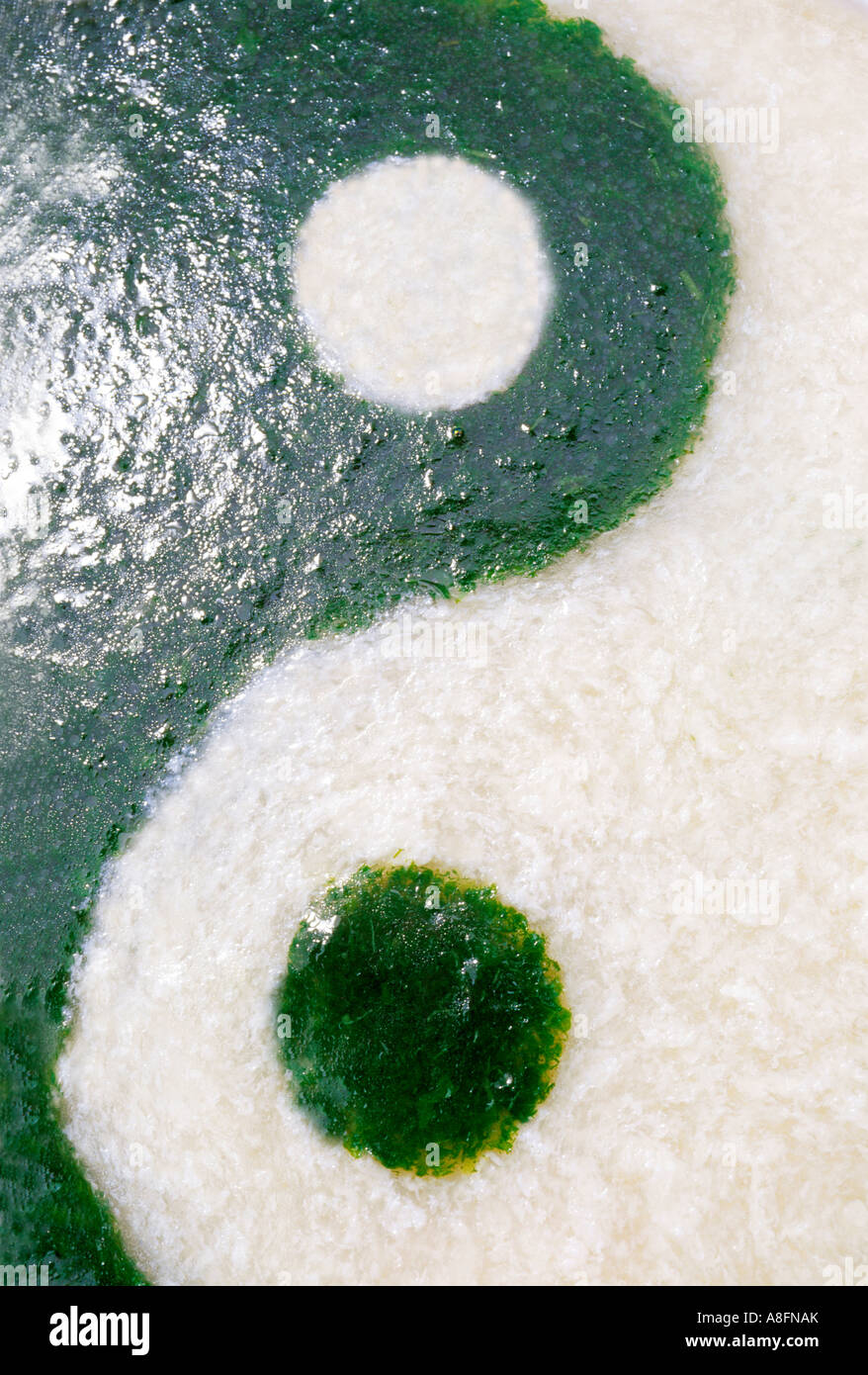Yin Yan la zuppa in verde e bianco Foto Stock