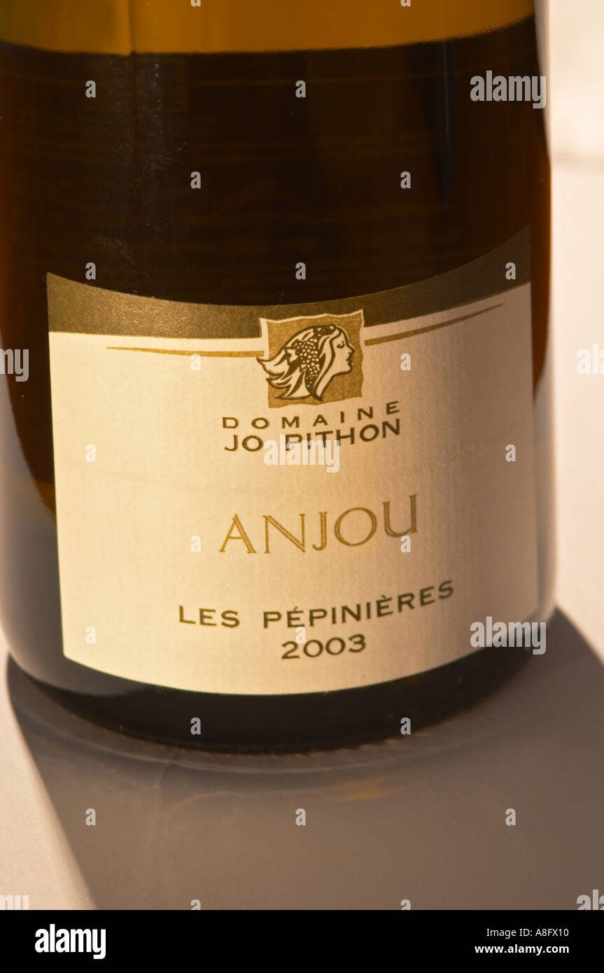Una bottiglia Les Pepinieres 2003 da Domaine Jo Piton, Anjou, close-up dell'etichetta - la Valle della Loira, Francia Foto Stock