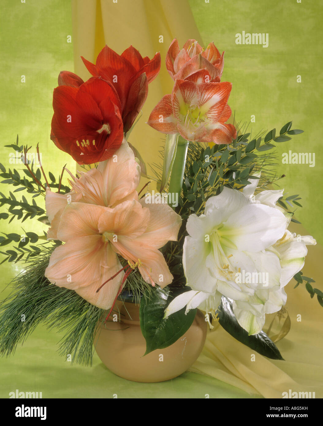 Bouquet con amaryllis Foto Stock
