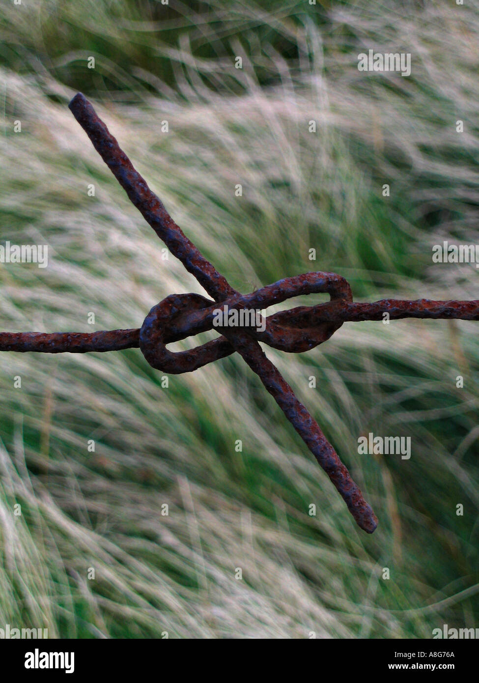 Annodato, rusty legato con filo metallico in un archetto con erba dietro su Harter è sceso nel Parco Nazionale del Distretto dei Laghi, Cumbria, England, Regno Unito Foto Stock