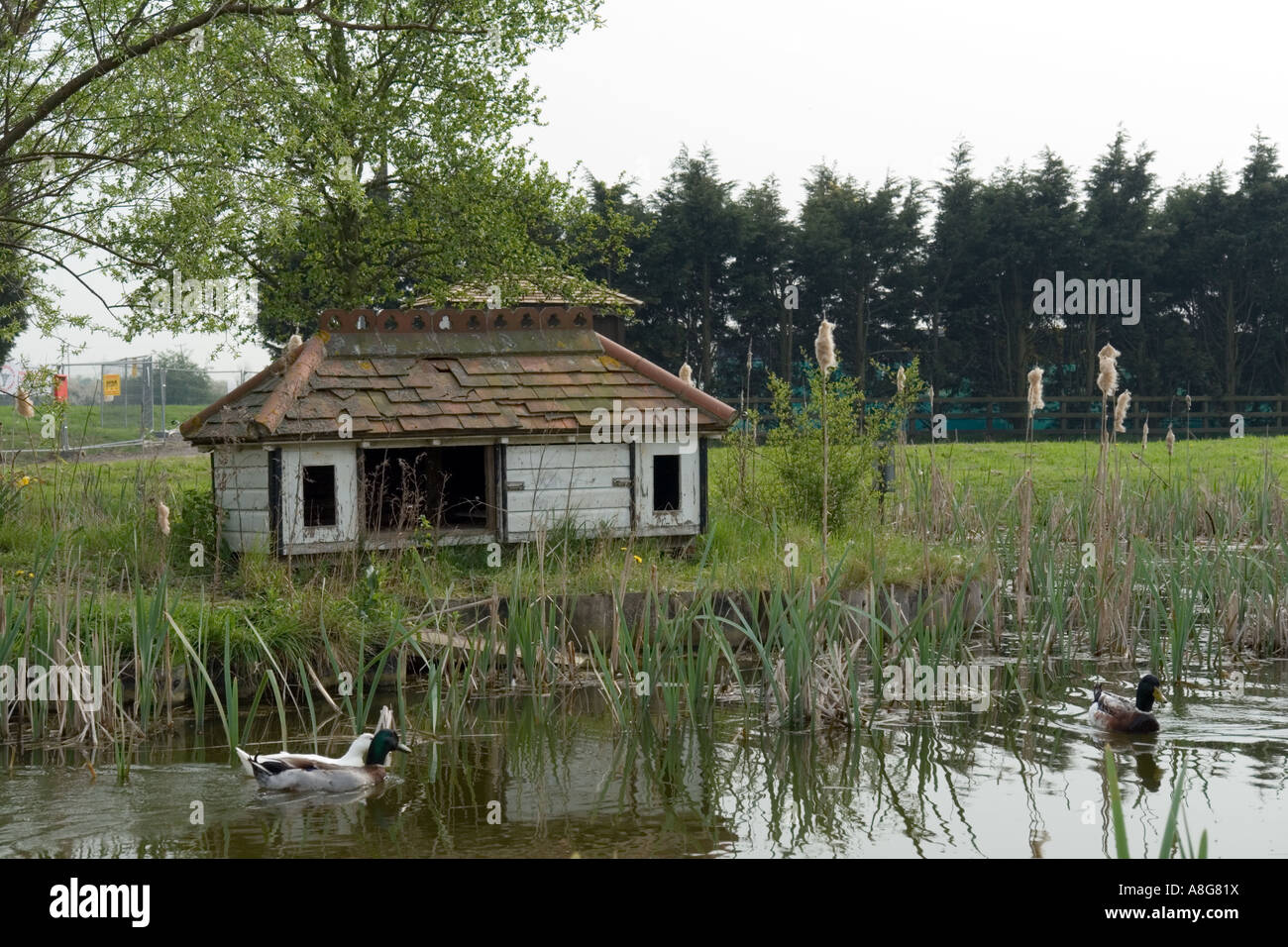 Casa per gli uccelli da lo stagno in Battlesbridge, famosa per i suoi negozi di antiquariato Foto Stock