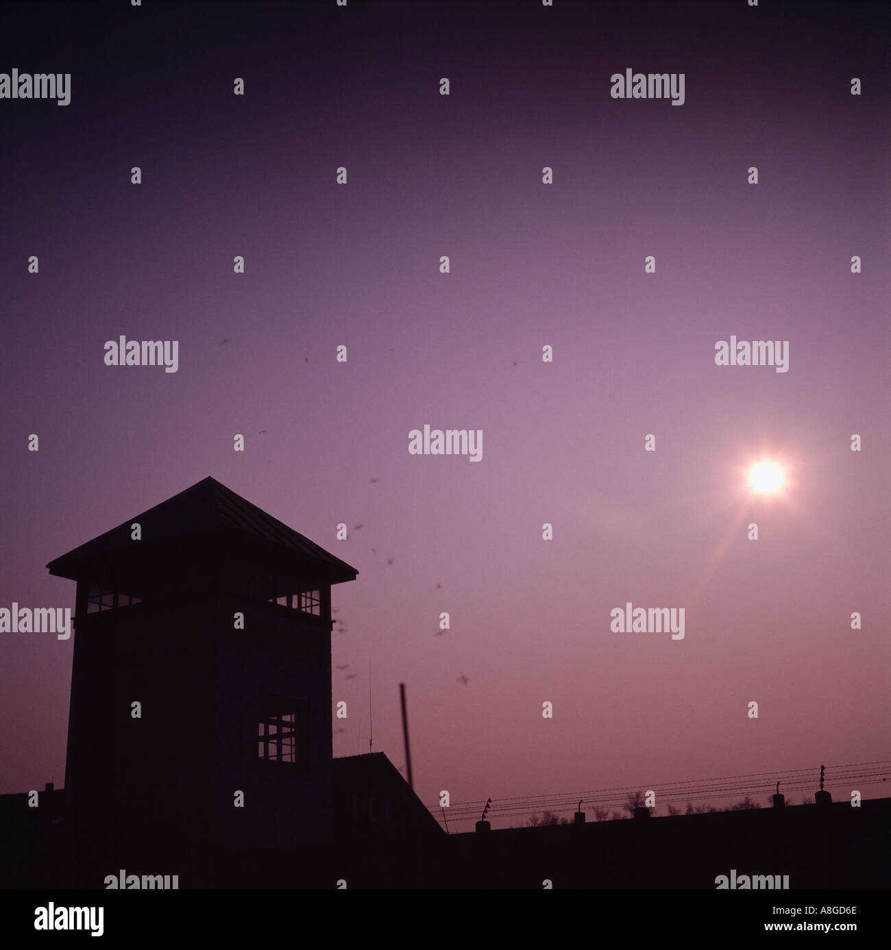 Dachau campo di concentramento nazista a Monaco di Baviera in Germania in Europa. Cronologia Storica Memoriale della Shoah notte omicidio cultura storica corsa sinistre Foto Stock