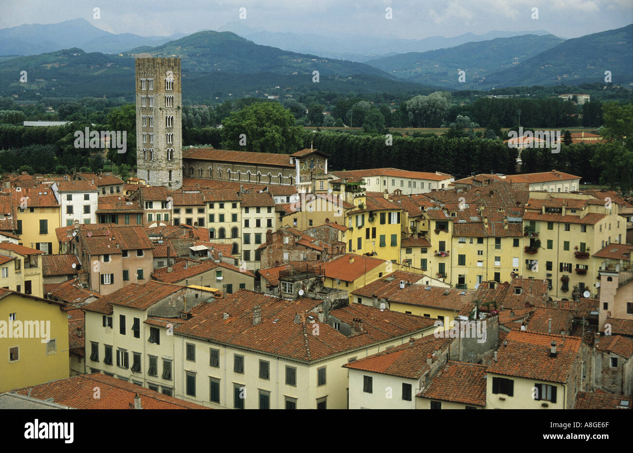Vista della città toscana di Lucca Italia dalla Torre Guinigi - Lucca le mura che circondano il centro storico sono alcune dell'Italia Foto Stock