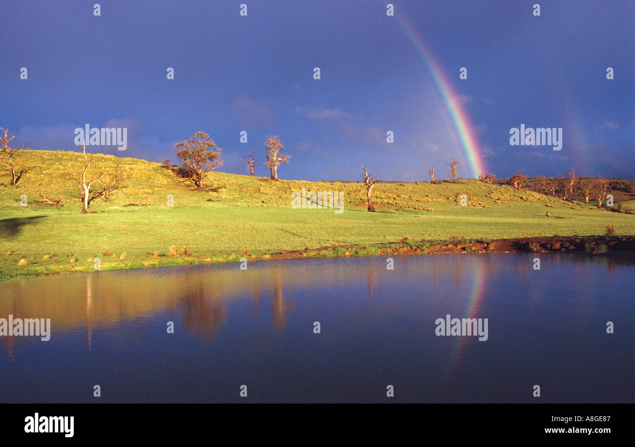 Rainbow riflessione vicino a Bothwell, altopiano centrale, Tasmania, Australia Foto Stock
