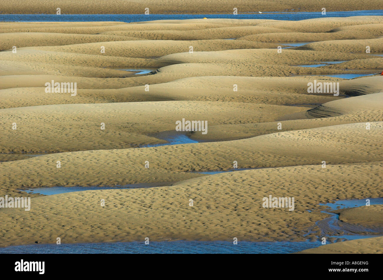 Banchi di sabbia nel fango Foce Pozzi-next-Mare Foto Stock