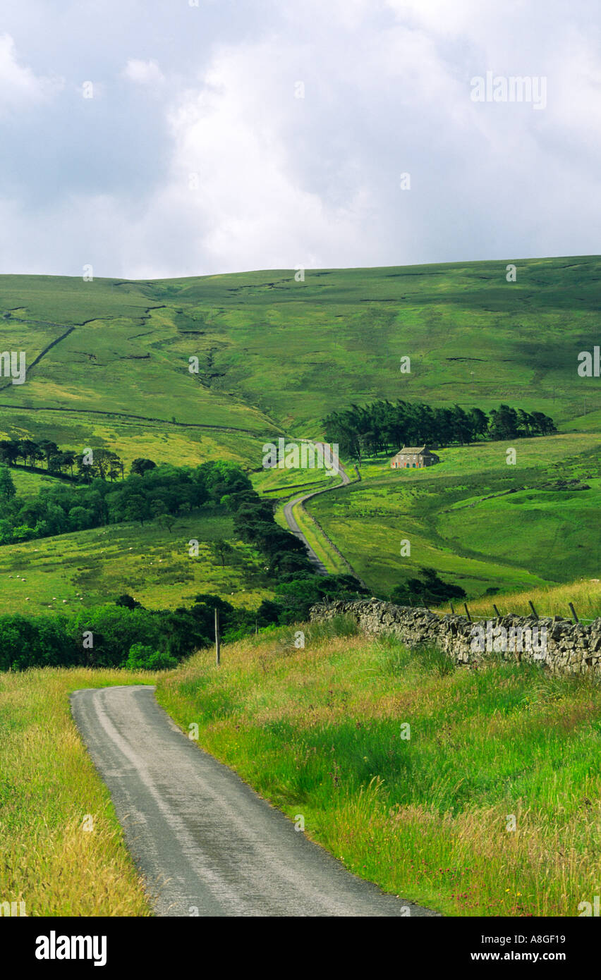 Strada tra Askrigg comune tra Swaledale e Wensleydale nel Yorkshire Dales National Park, North Yorkshire, Inghilterra. Foto Stock