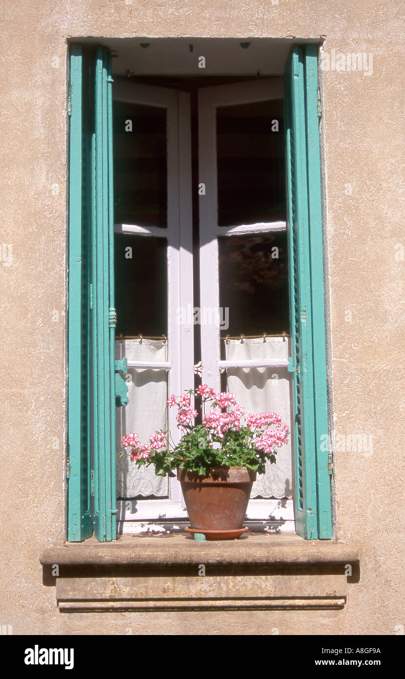 Impianto pot nella finestra Provence Francia Foto Stock