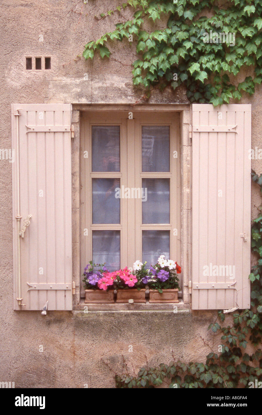 Serrande di rosa con Window Box Provenza Francia Foto Stock