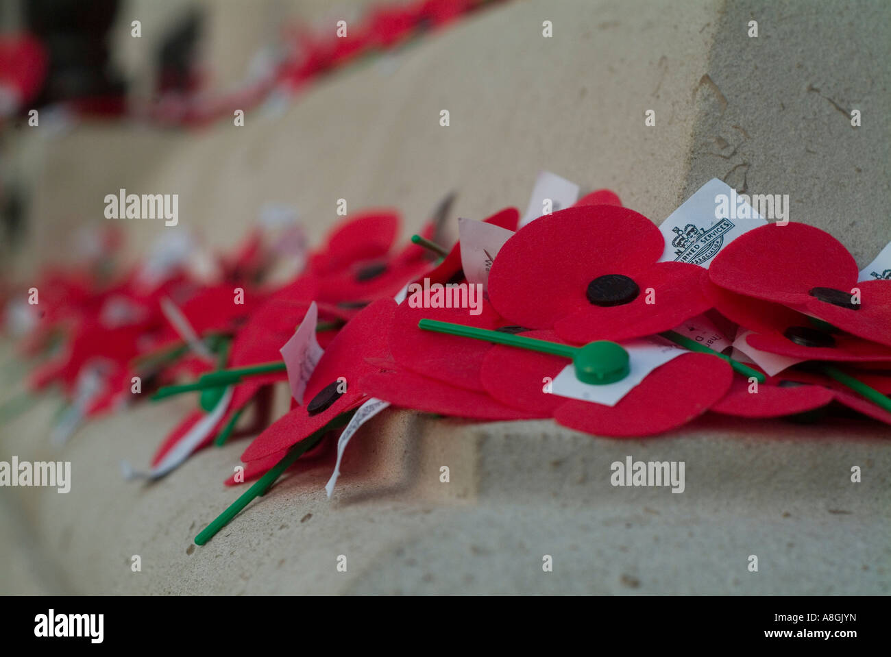 ANZAC Day sessantottesima Alba Cerimonia Commemorativa al Auckland War Memorial Museum di papavero Foto Stock