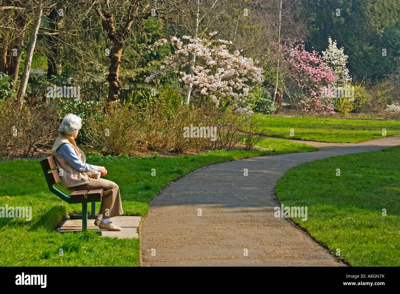 Signora seduta in giardini di Bournemouth Dorset, Regno Unito Foto Stock