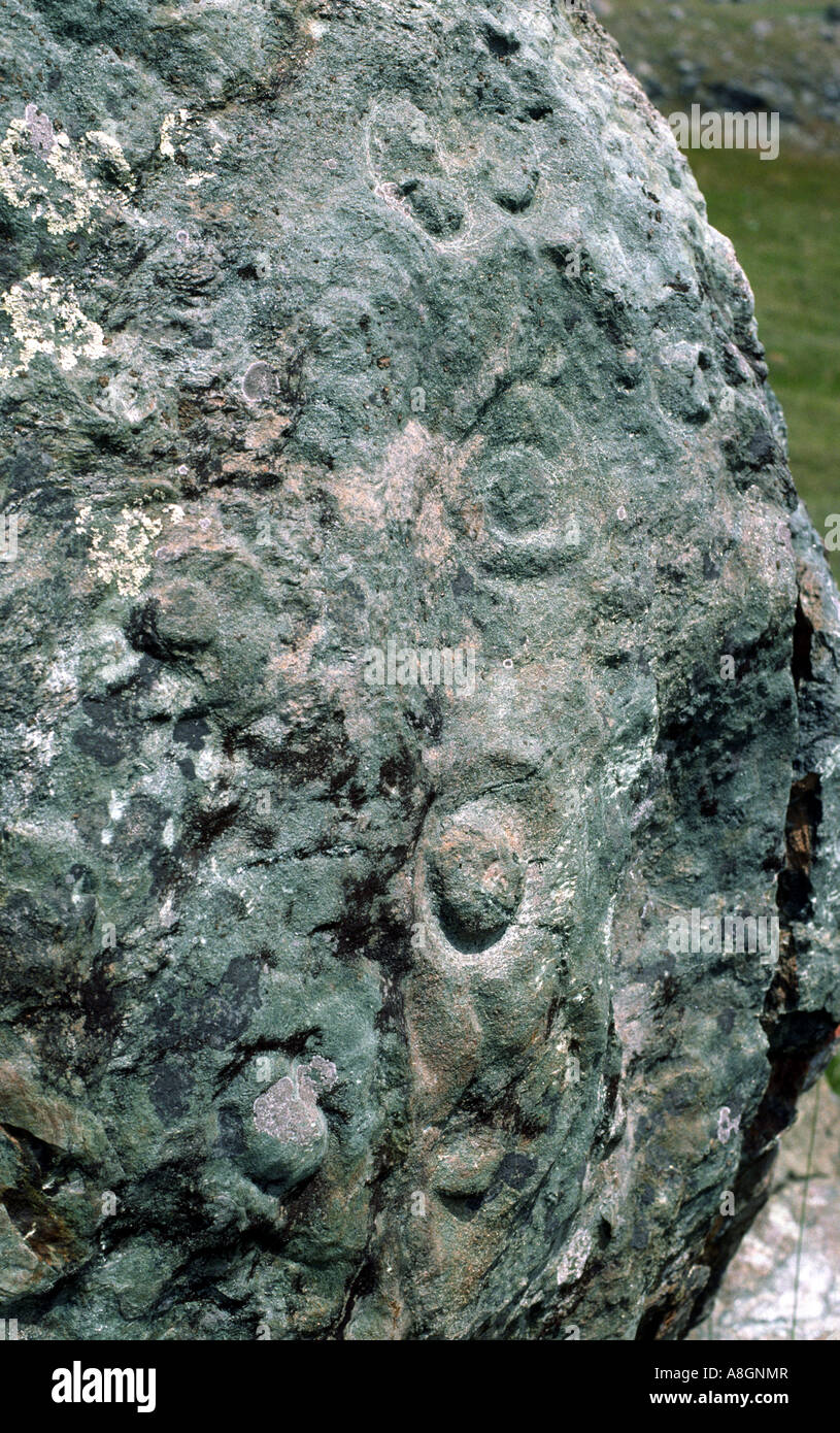 Antiche incisioni rupestri intagliati dai nativi americani su un grande masso in Nature Conservancy anello s Mountain preservare Foto Stock