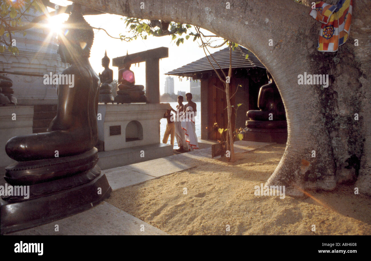 Un'immagine del Buddha al tempio di Gangaramaya s complesso nel lago di Beira Colombo Sri Lanka Foto Stock