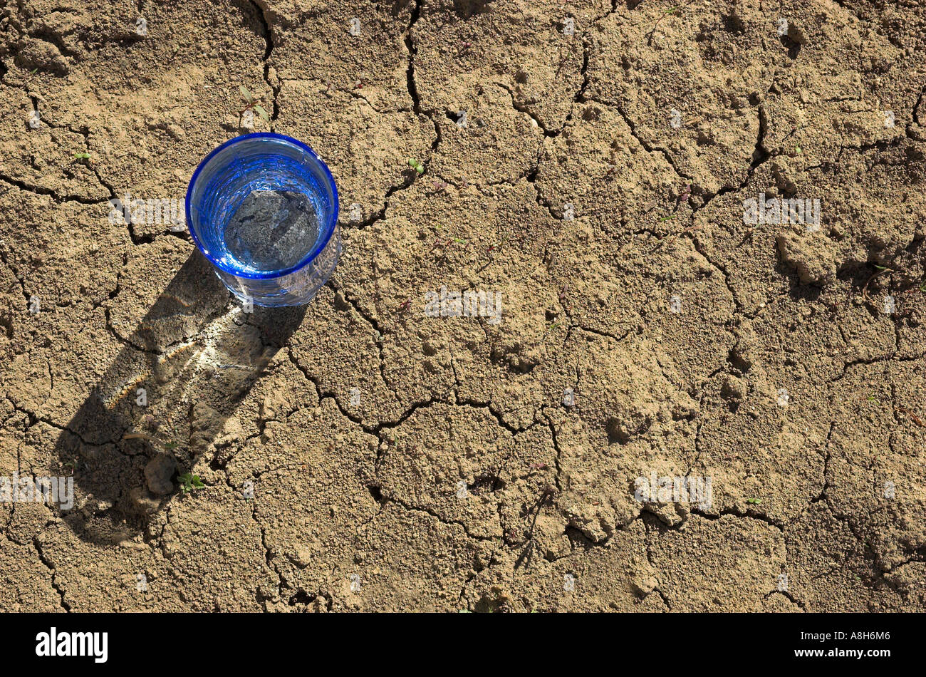 Bicchiere di acqua sul crack terra vista in elevazione Foto Stock