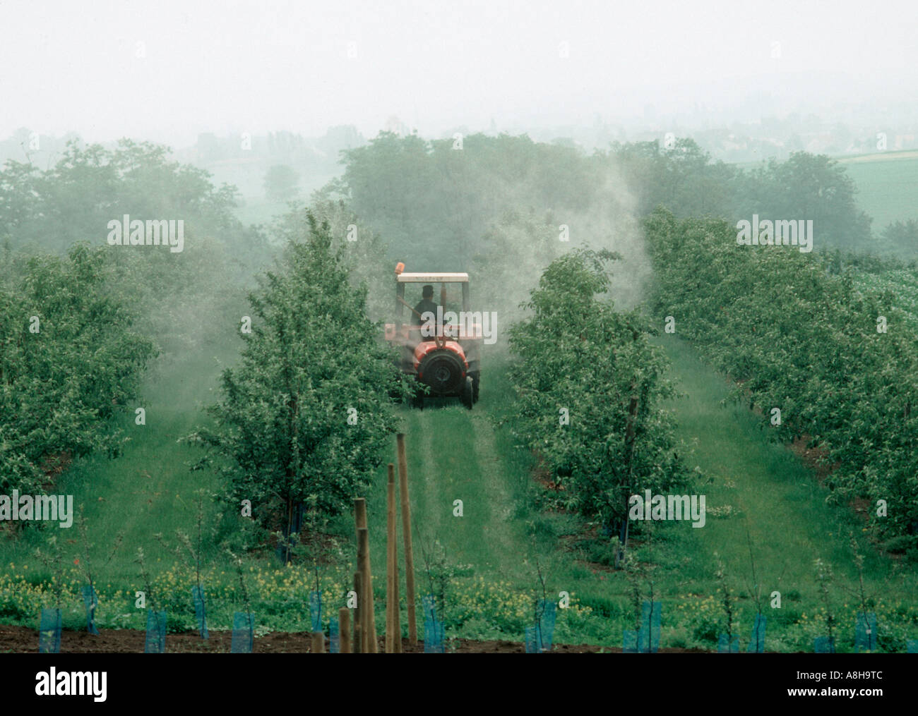 Trattore con motore ventilatore di nebbia di spruzzatura di Meleto Francia Foto Stock