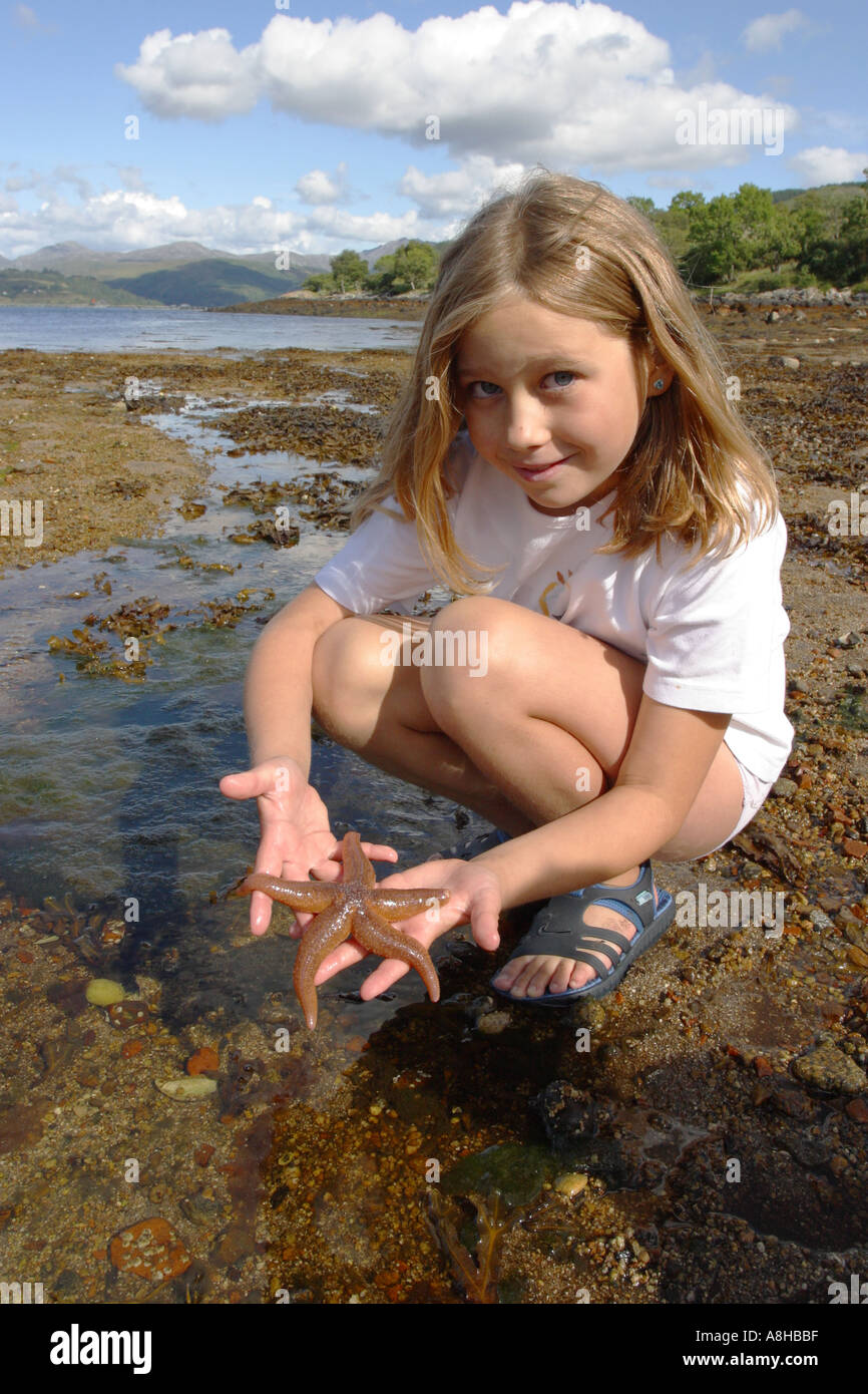 Starfish comune in una mano ragazze sulle rive di Loch Sunart nelle Highlands della Scozia Foto Stock