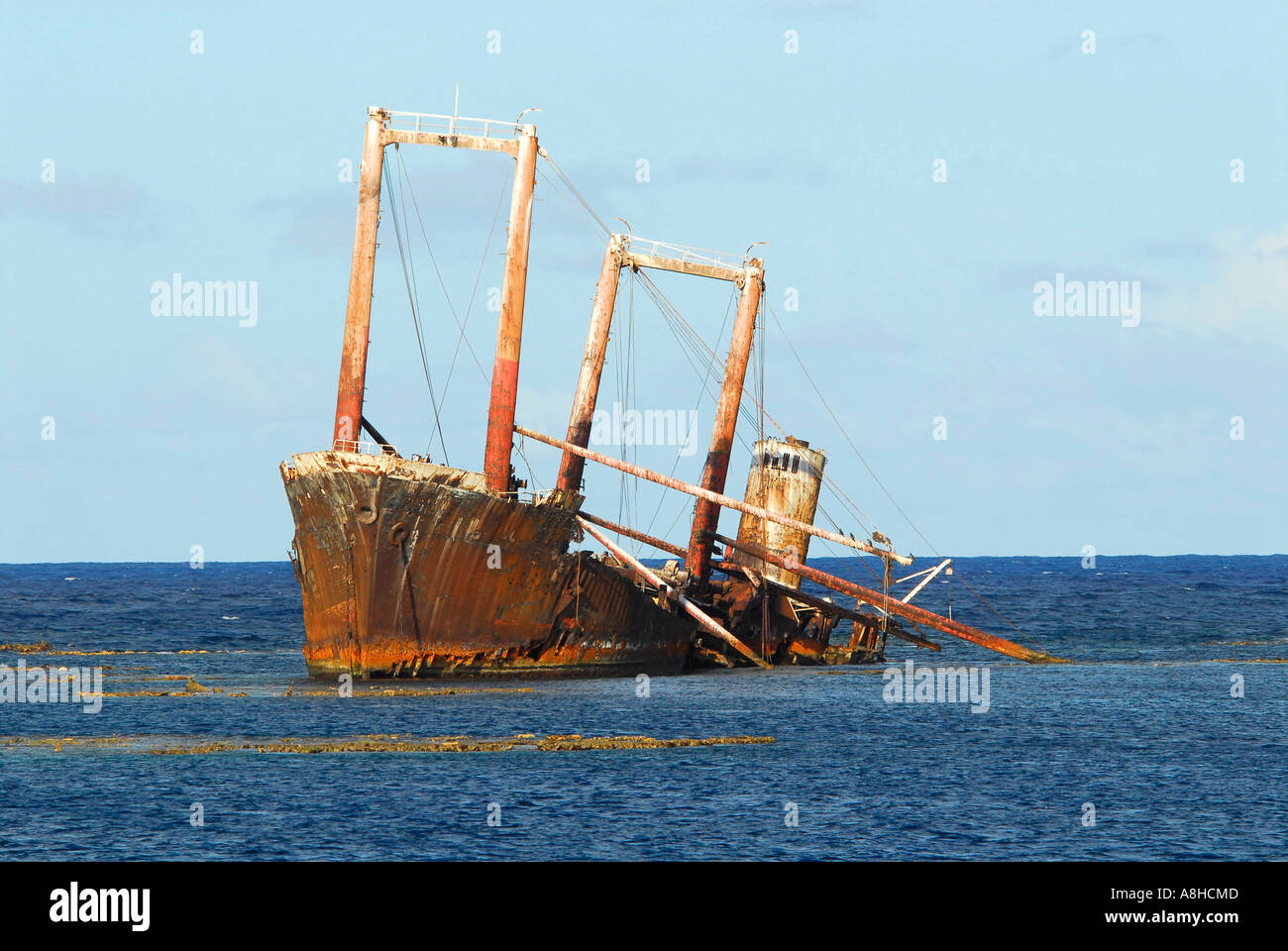Polisini relitto greco Kinsei Maru argento banche Santuario Marino Repubblica Dominicana Mar dei Caraibi Foto Stock
