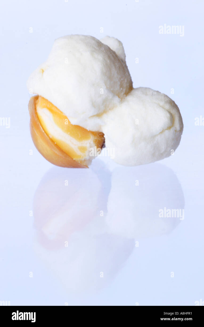 Popcorn Foto Stock