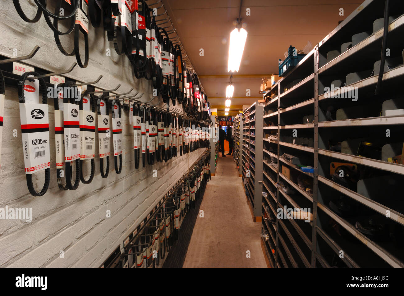 Carparts magazzino di pezzi di ricambio per automobili con cinghie