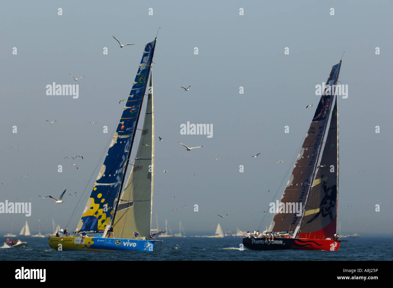 Volvo Ocean Race 2006 Vita sul gruppo Extreme con boatsin rivestita Foto Stock