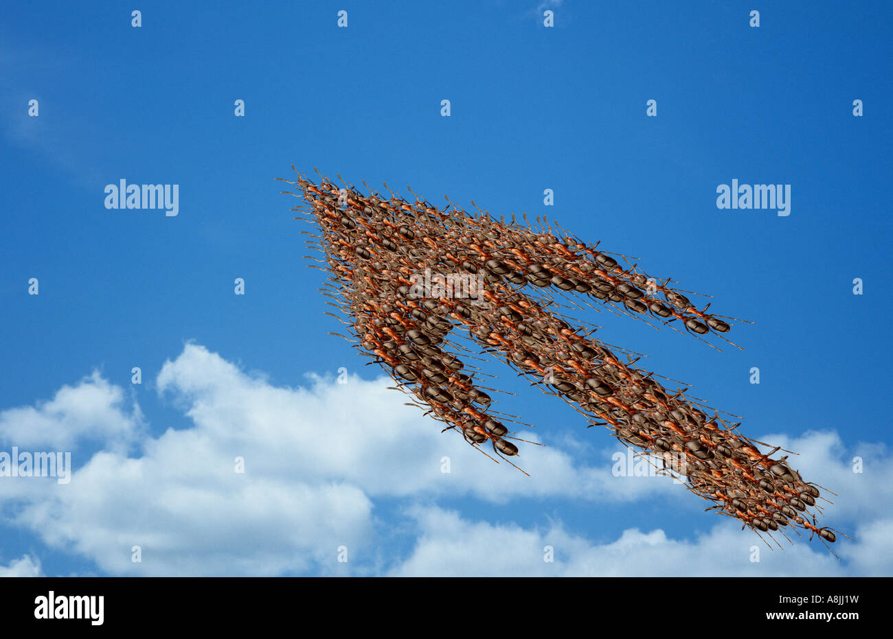 Lavoro di squadra Foto Stock