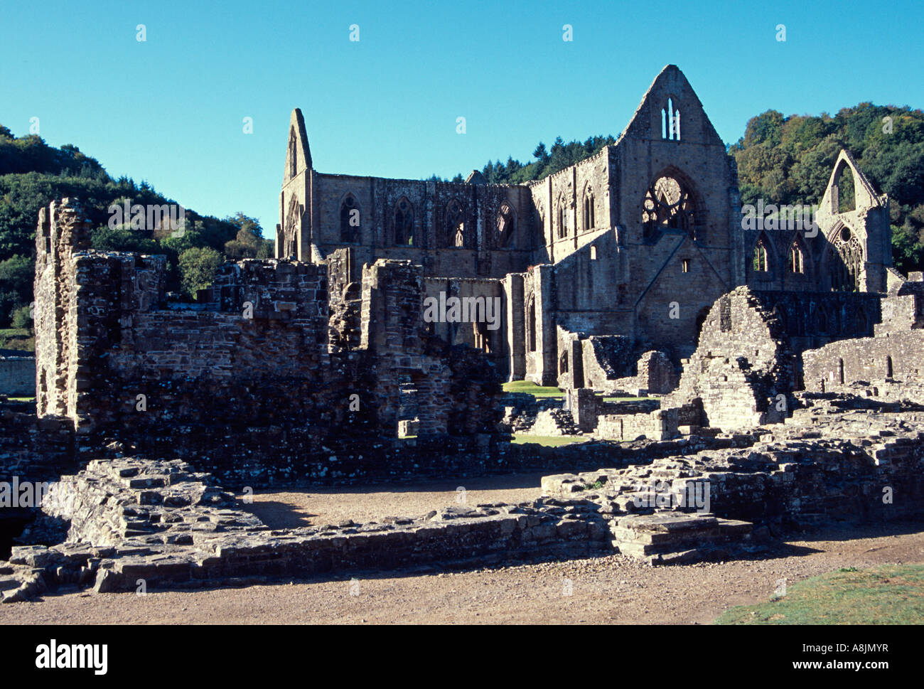 Tintern Abbey rovine monmouthshire South Wales UK GB Foto Stock