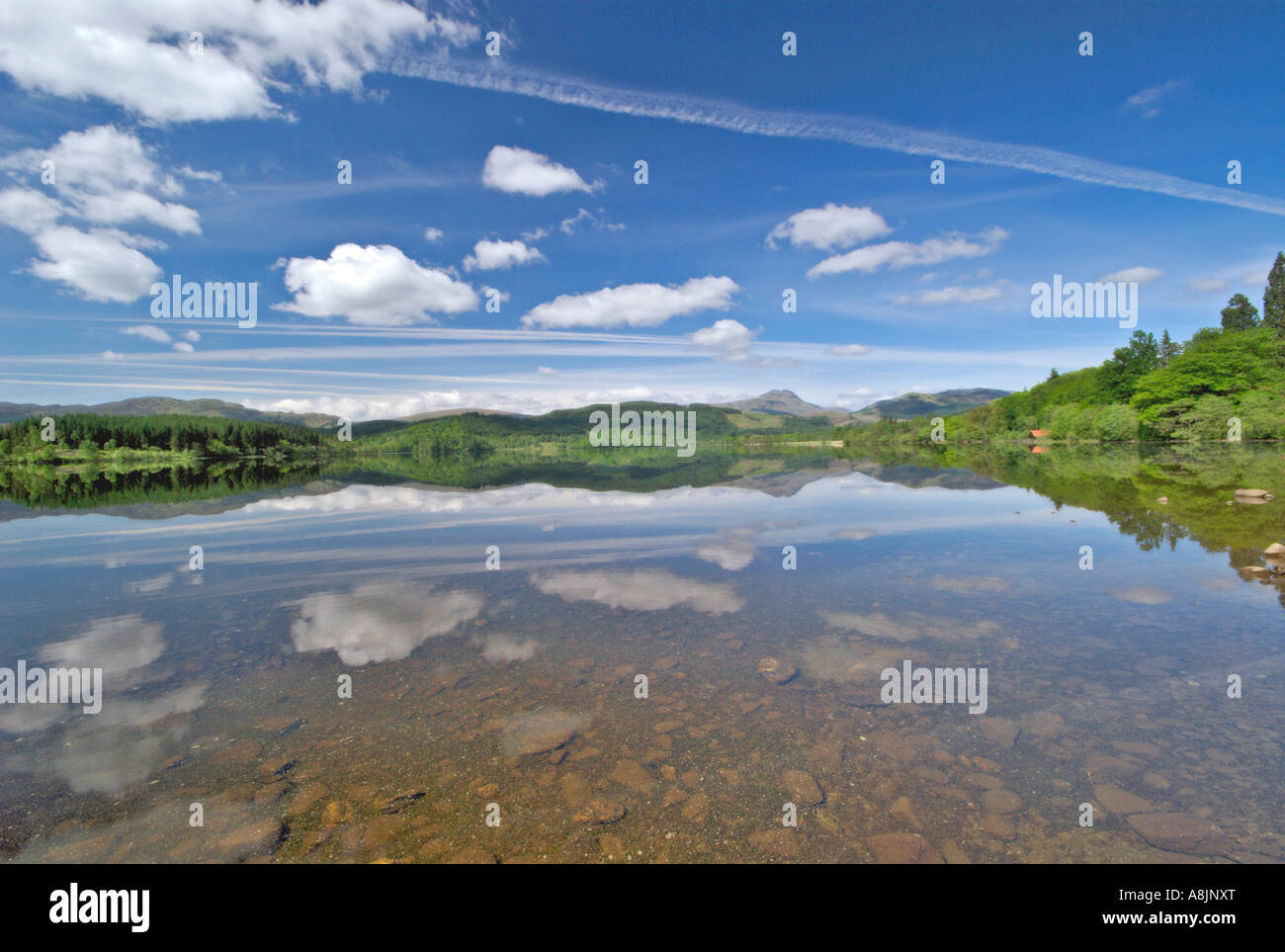 Loch Ard nr Aberfoyle Trossachs distretto di Stirling Foto Stock