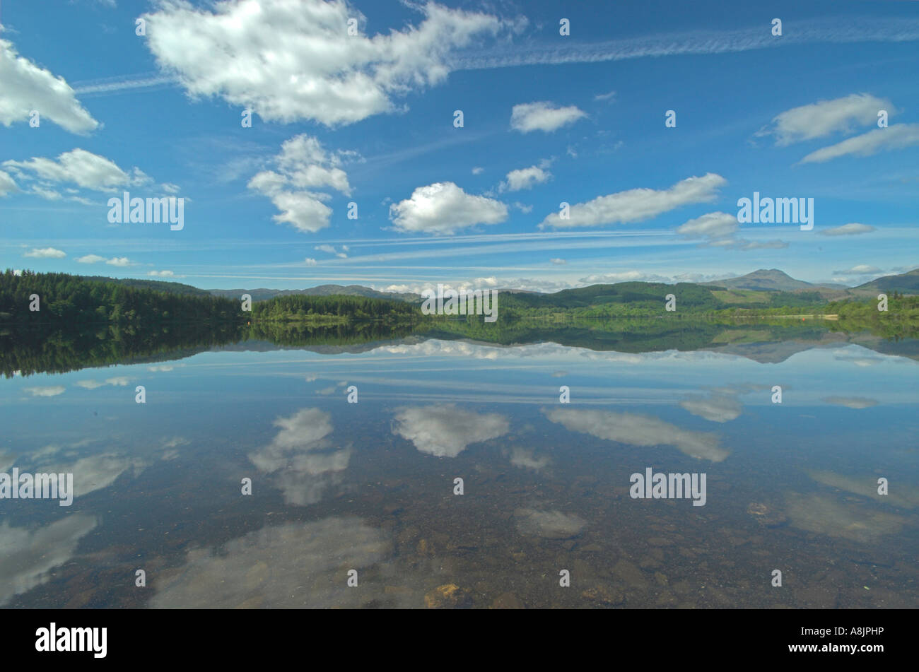 Loch Ard nr Aberfoyle Trossachs distretto di Stirling Foto Stock