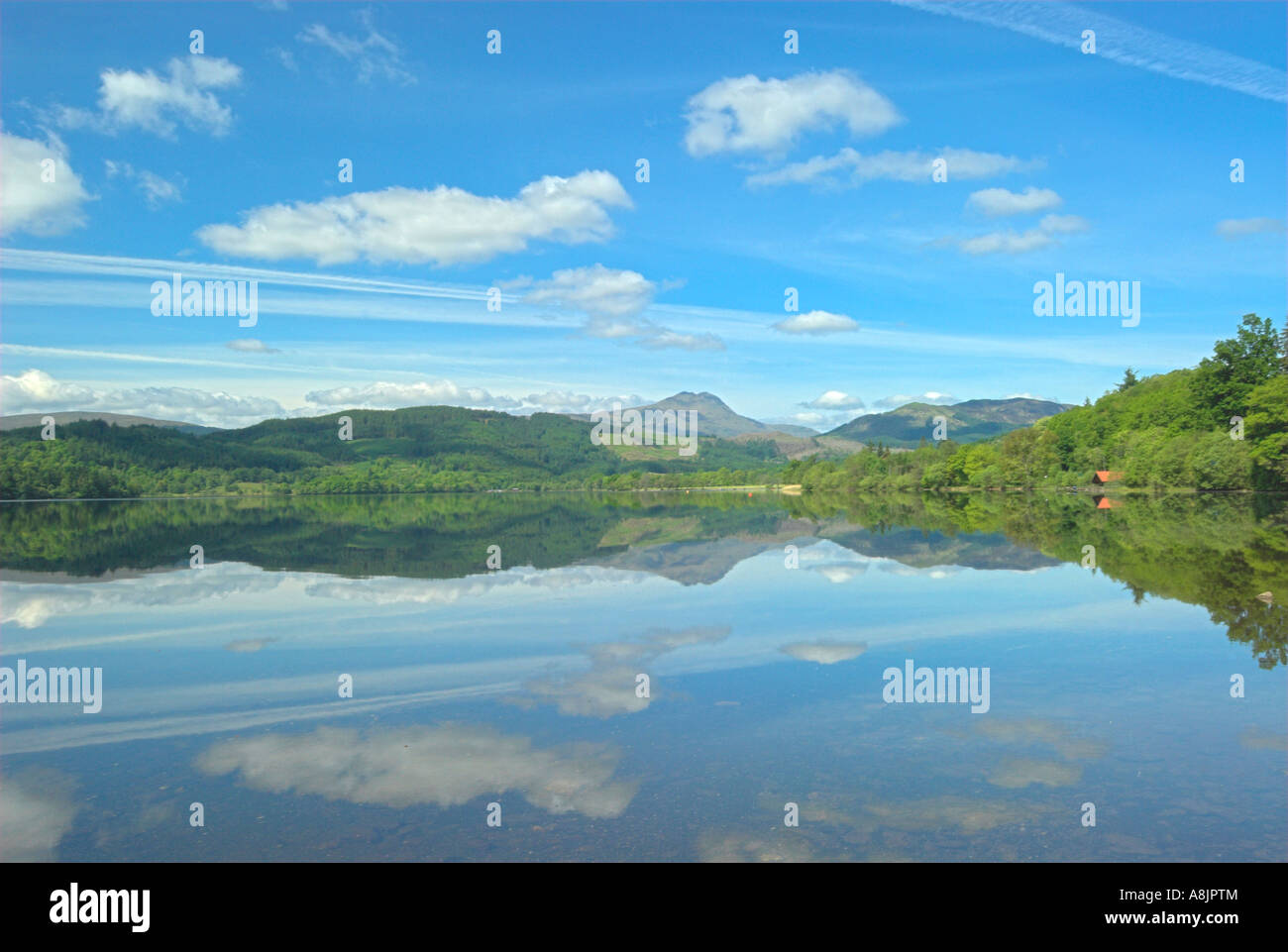 Loch Ard nr Aberfoyle Trossachs distretto di Stirling Foto Stock