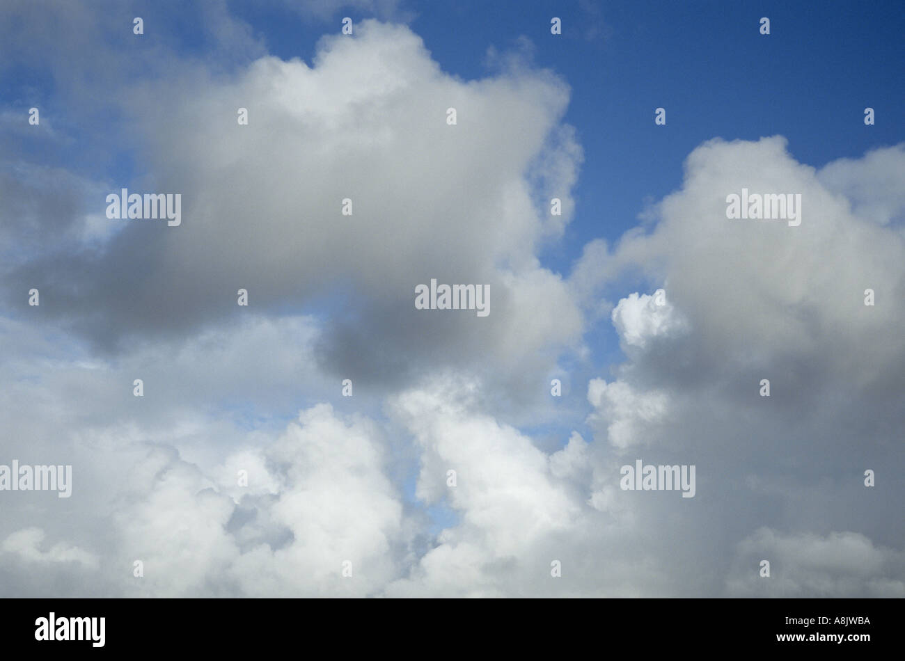 Il bianco e il grigio cumulus nubi in un profondo cielo blu Foto Stock