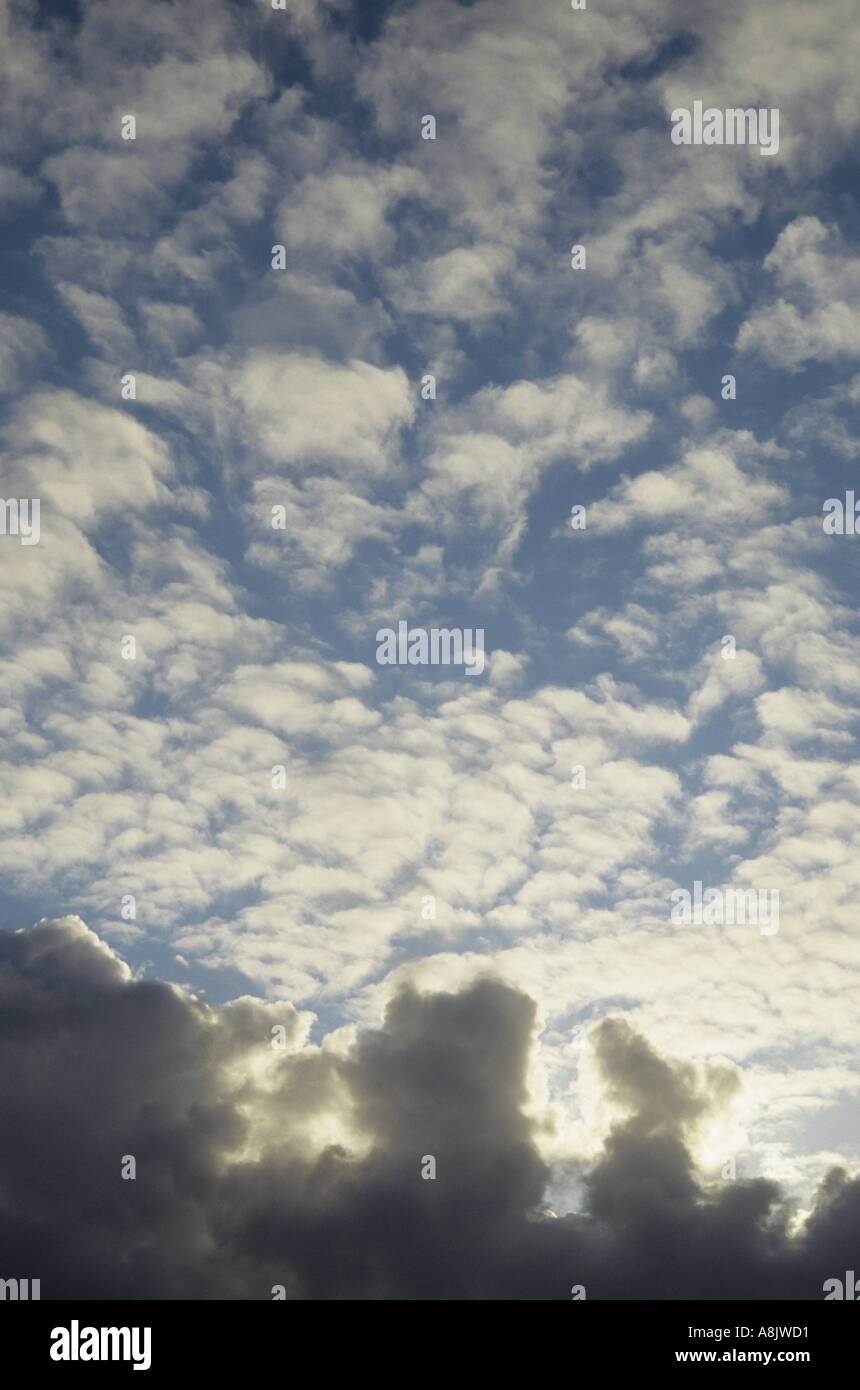 Una serata di sgombri o altocumulus sky sotto la minaccia da o rivelato in seguito a dispersione di nero cumulus nubi Foto Stock