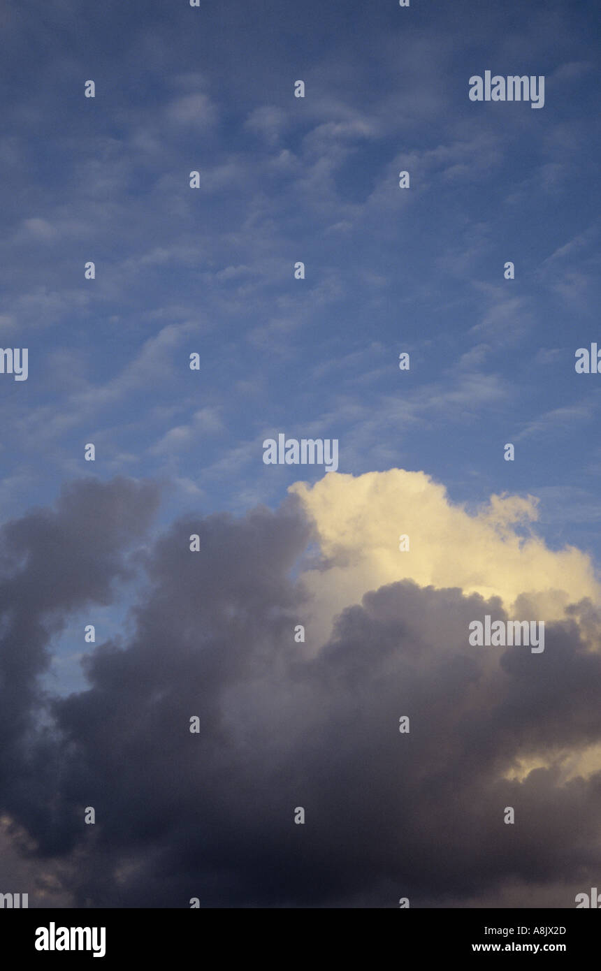 Un golden cumulus cloud che appaiono sopra il nero cumulus nuvole nel blu del cielo della sera di nubi stratocumulus Foto Stock
